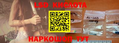 Альфа ПВП Ставрополь