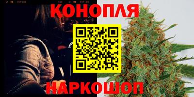 Альфа ПВП Ставрополь