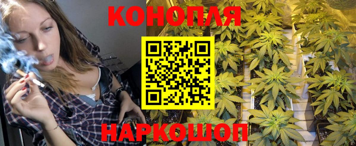 МАРИХУАНА план  Бошки марихуана THC 21%  Каннабис план  Асино  Вход с VPN 
